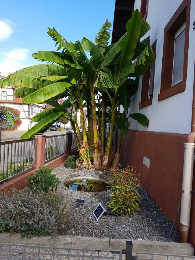 Apartamento Marielies-Urlaubsstube Meißenheim Exterior foto